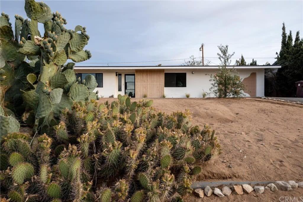 Joshua Tree - Le Tout Petit W Hot Tub エクステリア 写真